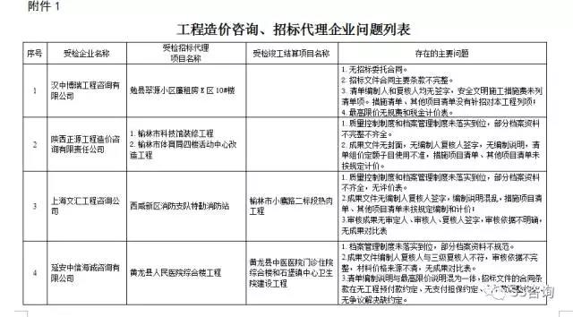 工程造價(jià)咨詢(xún)、招標(biāo)代理企業(yè)問(wèn)題列表